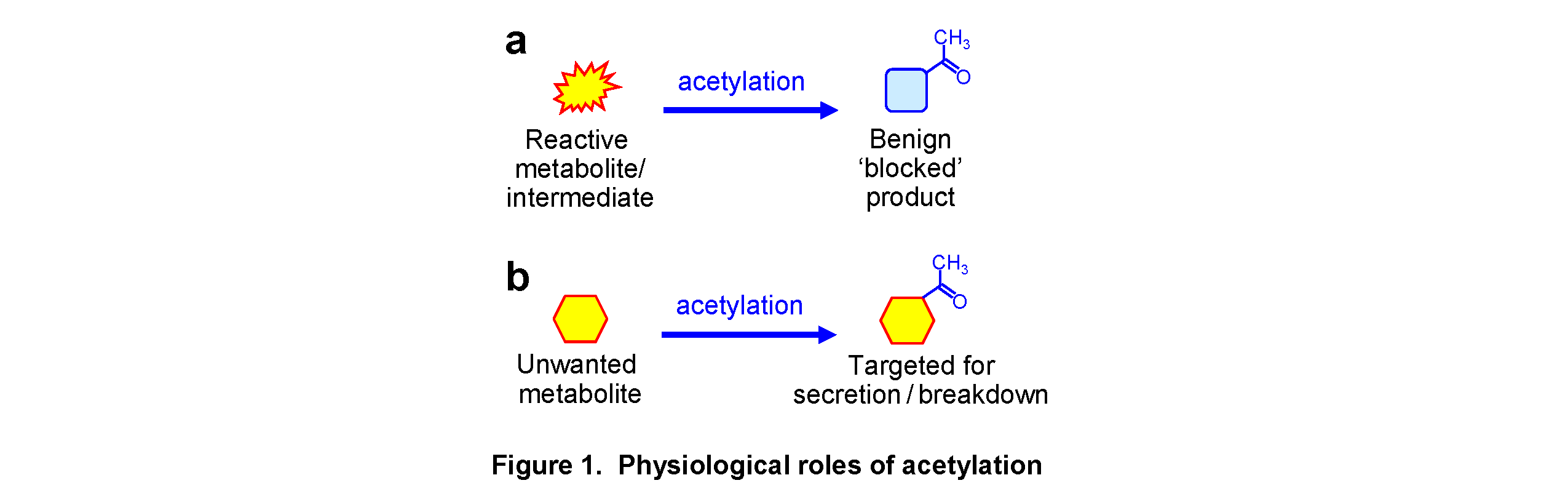 acetylation